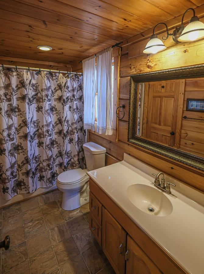 Lazy Bear Lodge ガトリンバーグ エクステリア 写真